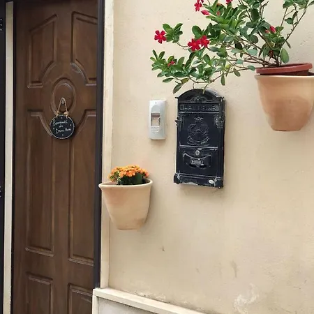 Apartment Dream House